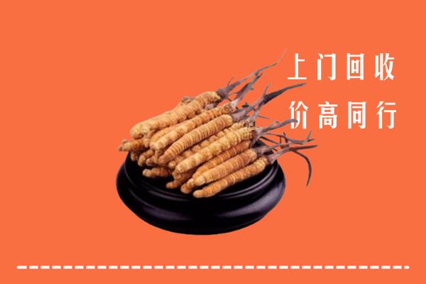 高价求购：嘉兴回收散虫草