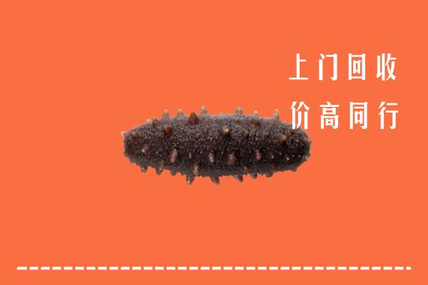 高价求购：嘉兴回收海参