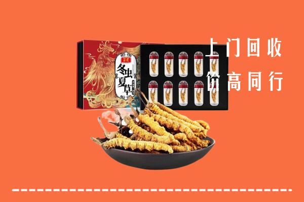 嘉兴高价回收虫草